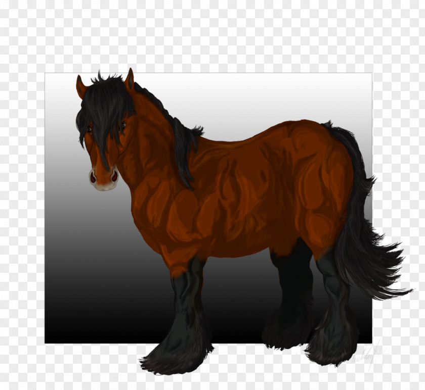 Mustang Mane Foal Stallion Pony PNG