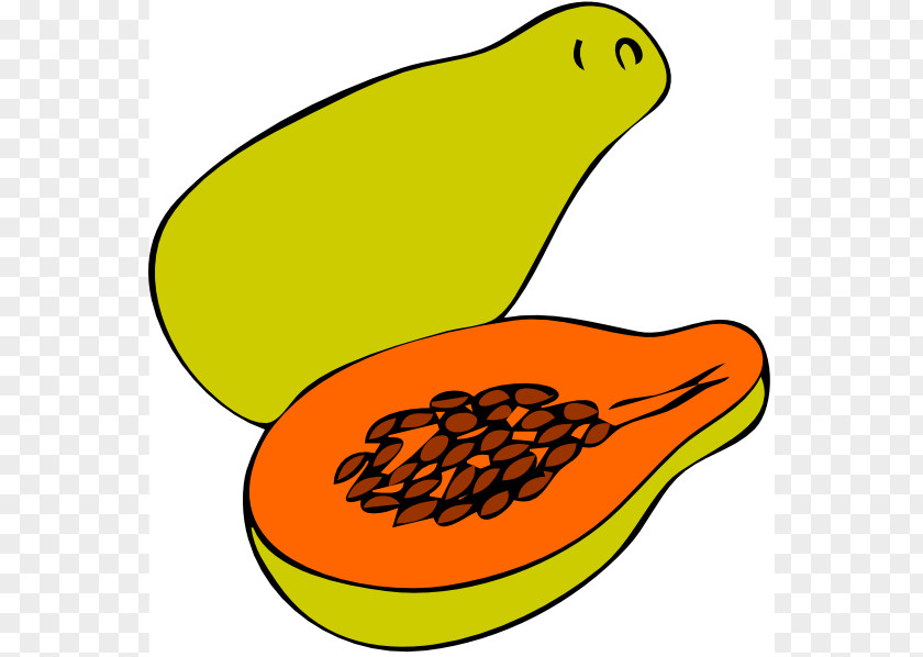 Papaya Cliparts Green Salad Pawpaw Clip Art PNG