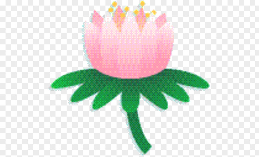 Proteales Protea Pink Flower Cartoon PNG