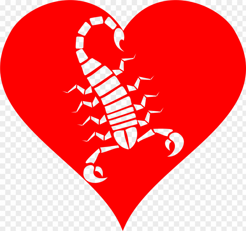 Scorpion Venom Clip Art PNG