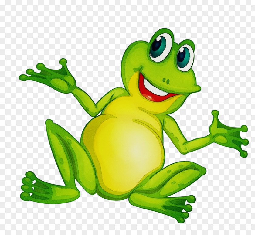 Shrub Frog Cartoon Green Agalychnis Tree True PNG