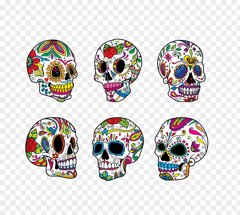 Skull Calavera Illustration PNG