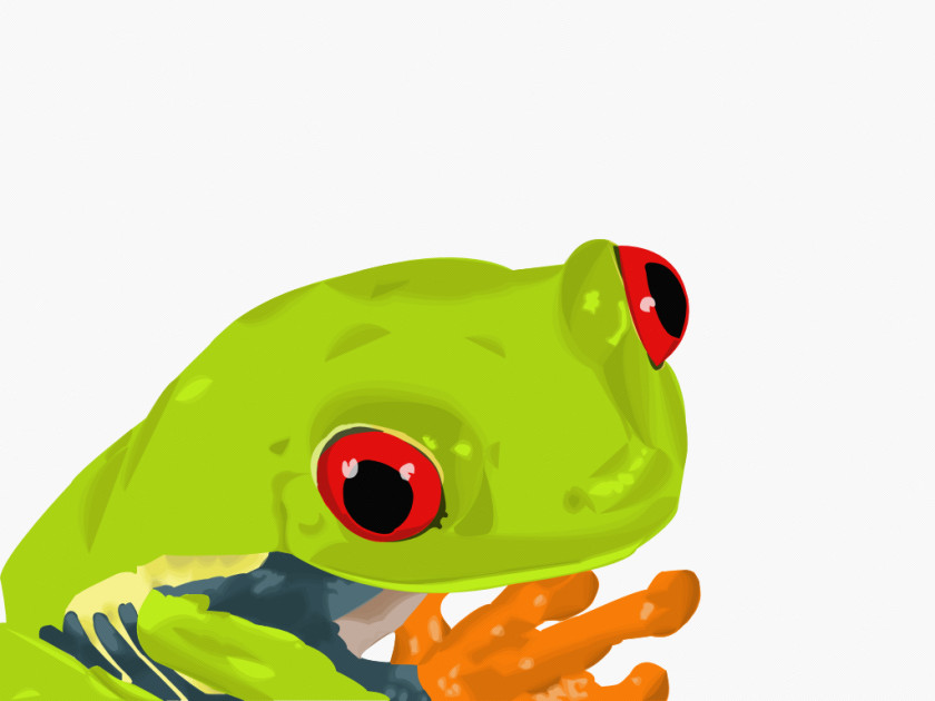 Frog Vector Cliparts True Amphibian And Toad PNG