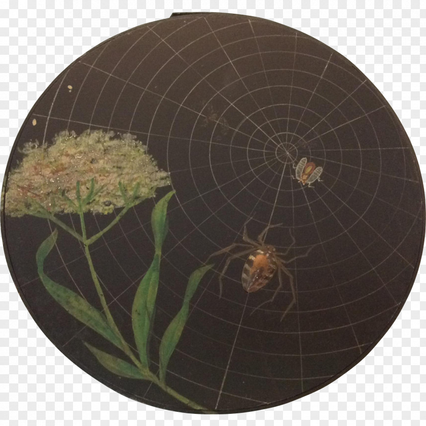 Hand-painted Delicate Lace Spider Web Invertebrate Circle PNG