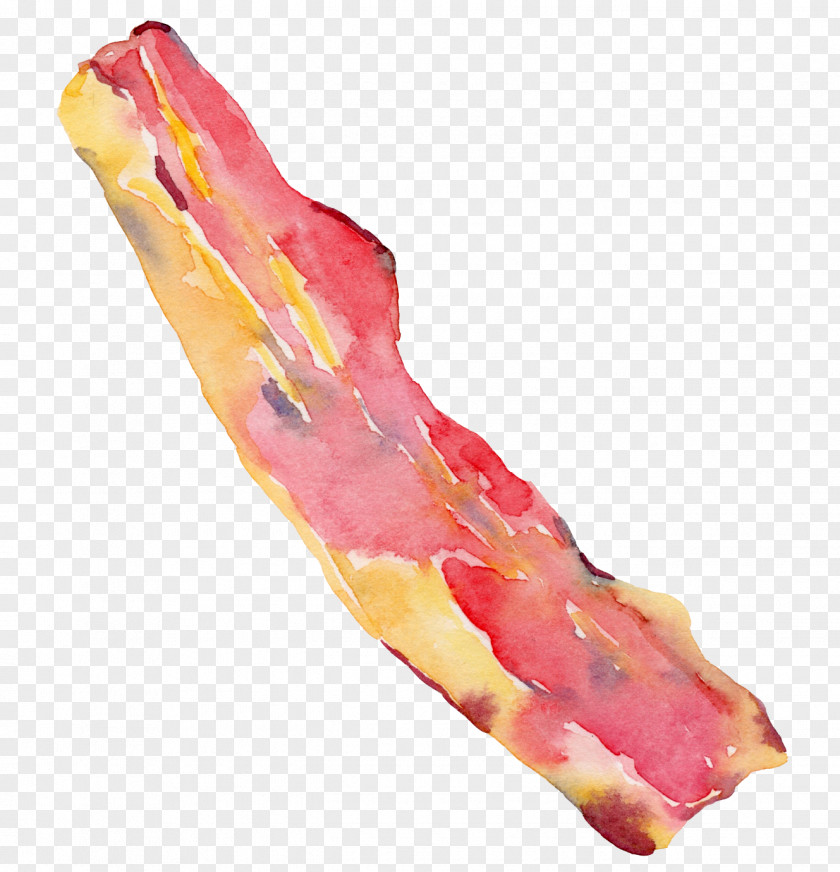 Hot Dog Bacon Download PNG
