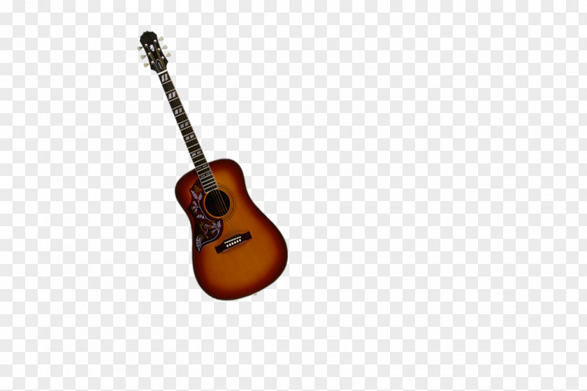 Instrument Musical Instruments Acoustic Guitar Plucked String Acoustic-electric PNG