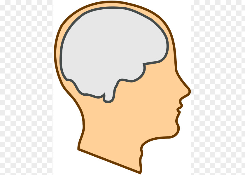 Open Mind Cliparts Brain Clip Art PNG