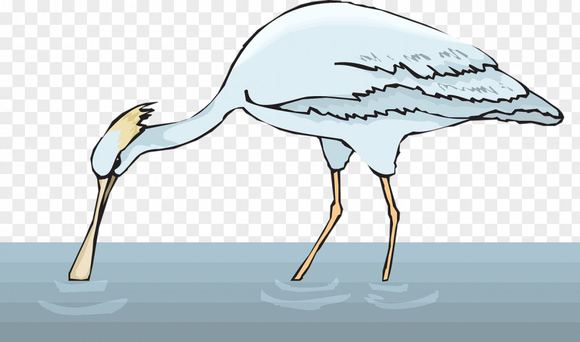 Water Bird Spoonbill Clip Art PNG