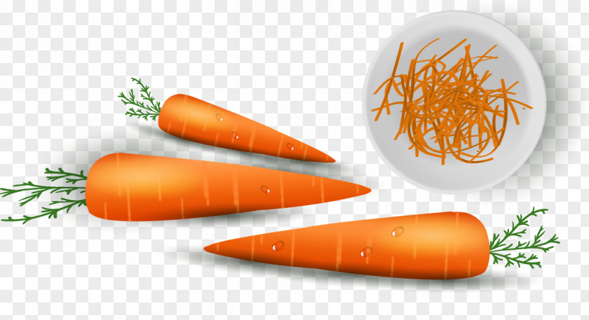 Carrot Baby Vitamin Vegetable PNG