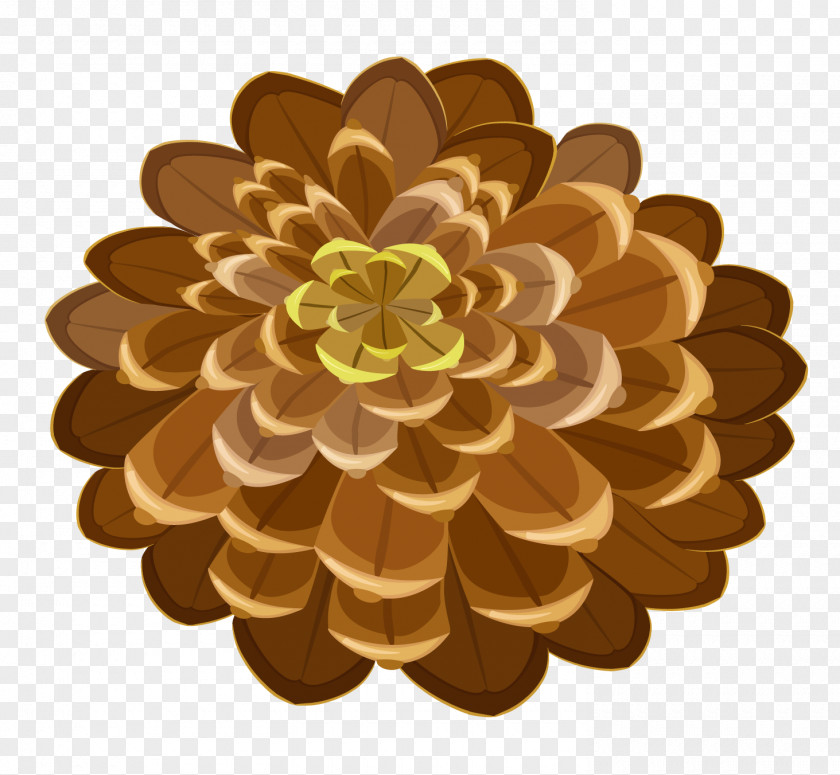 Conifer Cone Pine Clip Art PNG