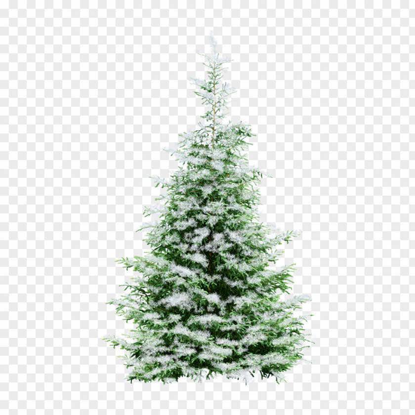 Fir-tree New Year Tree Christmas Animation PNG
