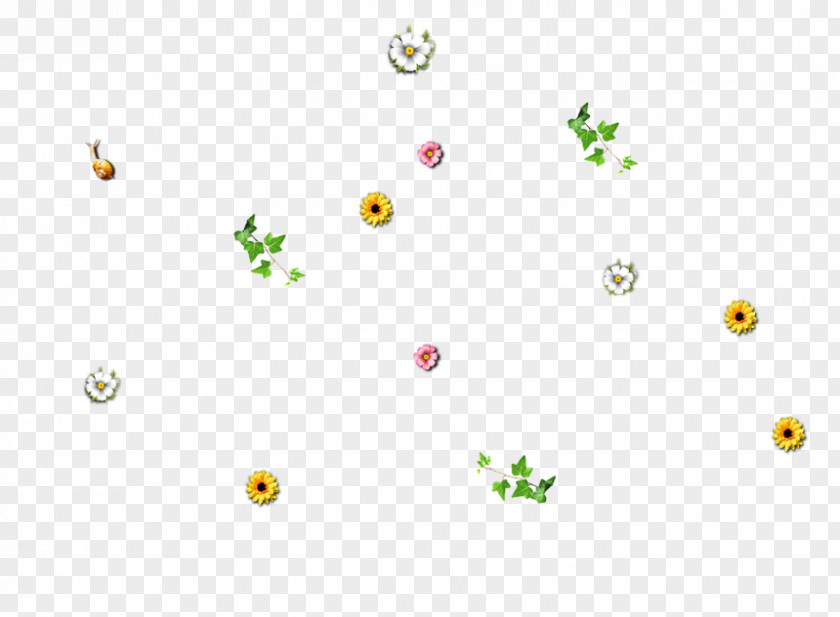 Flower Decoration Web Page Download PNG