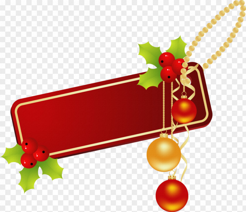 Information Christmas Ornament 0506147919 Body Jewellery Publication PNG ornament Publication, gift file clipart PNG