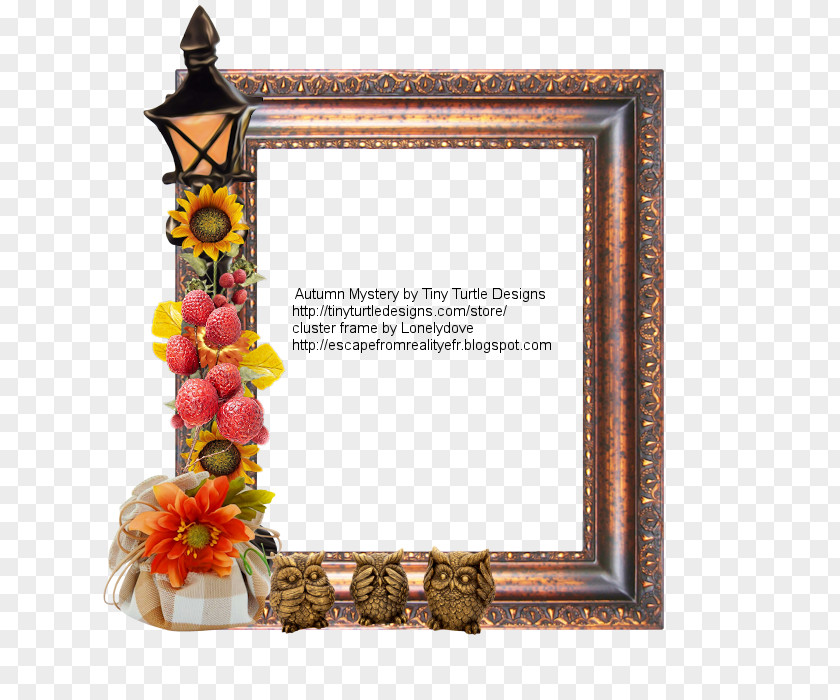 Lonely Elderly Picture Frames Rectangle Flower PNG