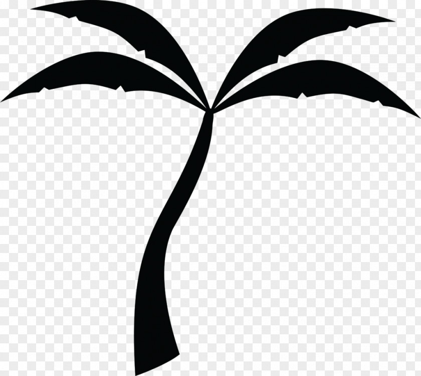 Palm Topu Clip Art Trees Vector Graphics Openclipart PNG