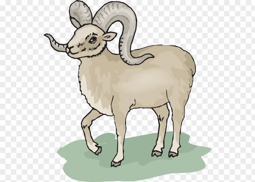 Ram Horn Cliparts Bighorn Sheep Argali Clip Art PNG