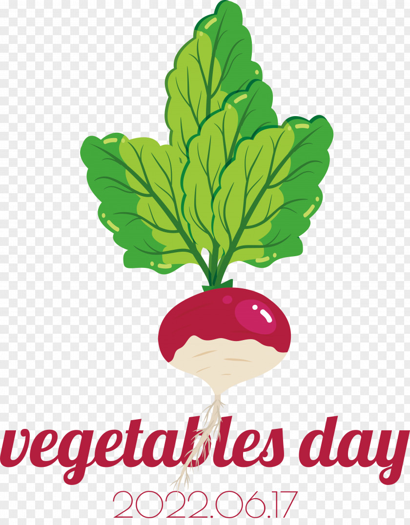 Turnip Leaf Vegetable Vegetable Turnip Vegetable Vitamin Salad PNG