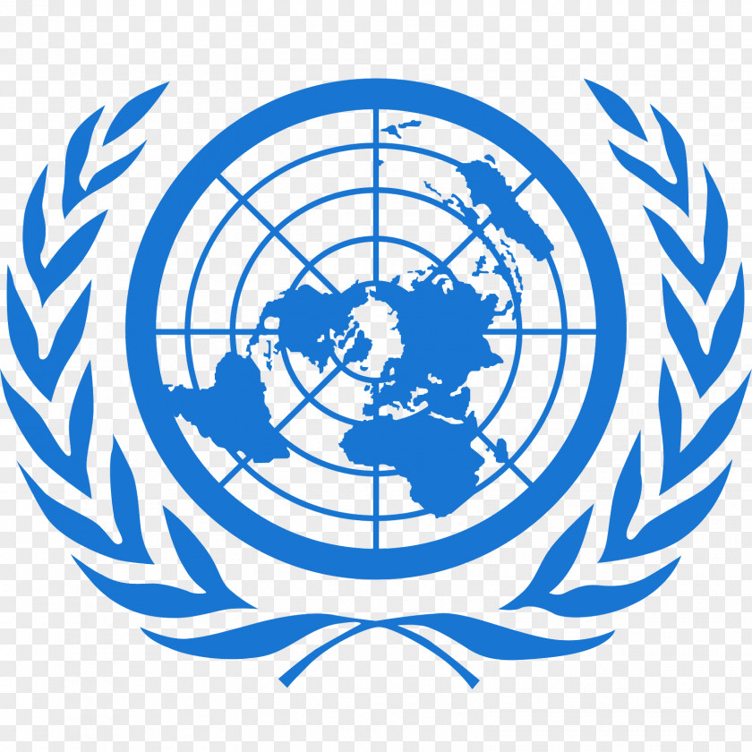 Unite United Nations Office At Nairobi UNICEF Model Flag Of The PNG