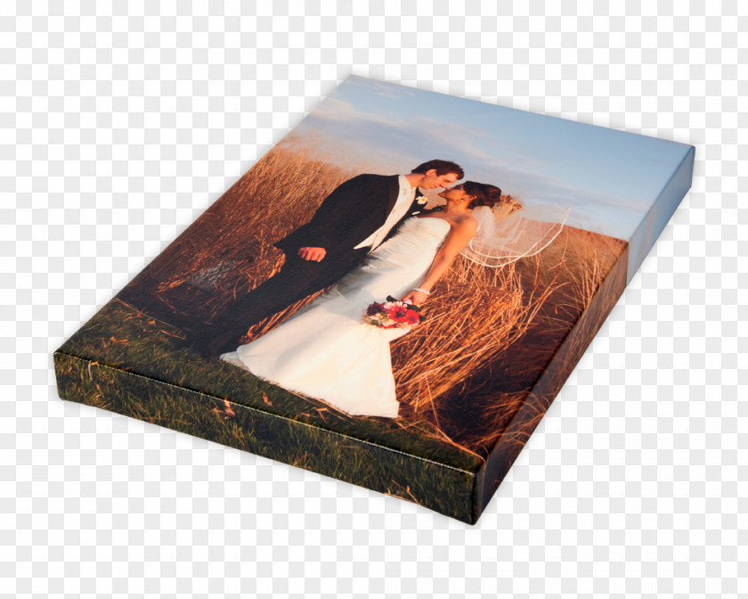 Canvas Print Gallery Wrap Painting PNG