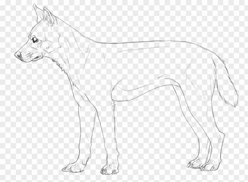 Dog Breed Line Art Drawing /m/02csf PNG
