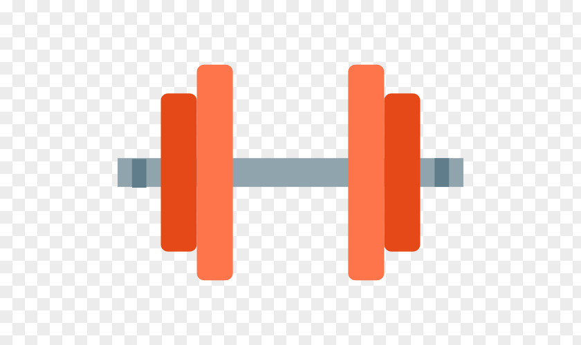 Dumbbell Biceps Curl Barbell PNG