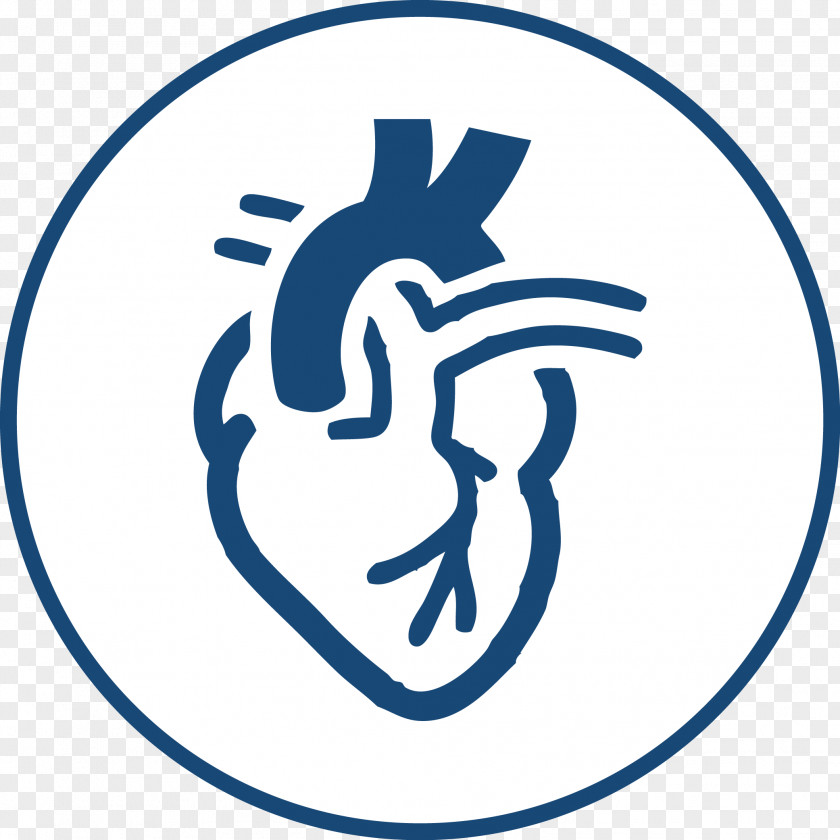Heart Cardiology Health Care Medicine PNG