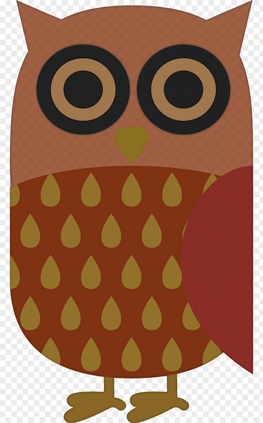Owls Birds Beak Owl Cartoon PNG