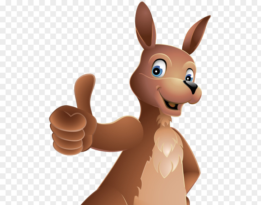 Thumbs Up Macropodidae Thumb Signal Kangaroo Hare PNG