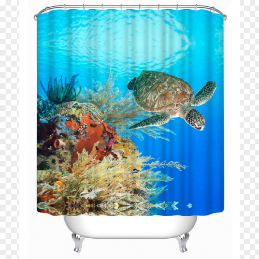 Underwater World Sea Turtle Coral Reef PNG
