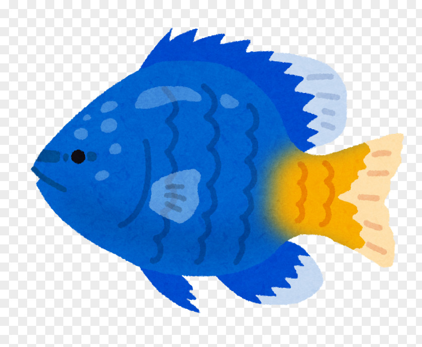 Isuzu Chromis Notata いらすとや Fish Clip Art PNG