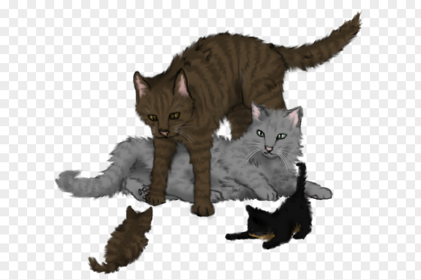 Kitten Cat Warriors Ferncloud Dustpelt PNG