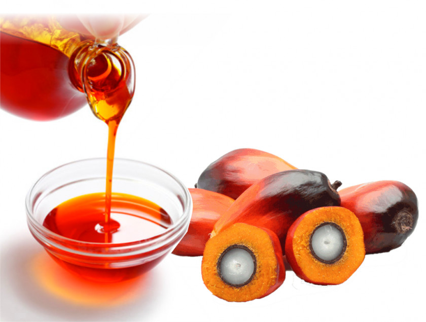 Oil Nigeria Palm African Ghanaian Cuisine Kernel PNG