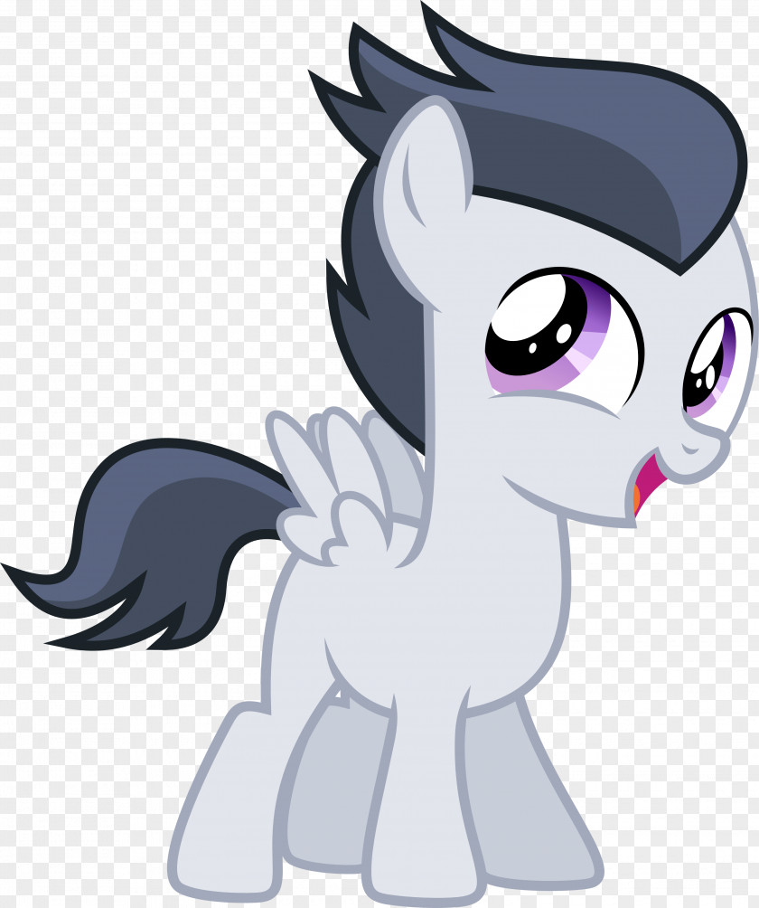 Season 7 Cat Marks And Recreation ThunderlaneCat My Little Pony: Friendship Is Magic PNG