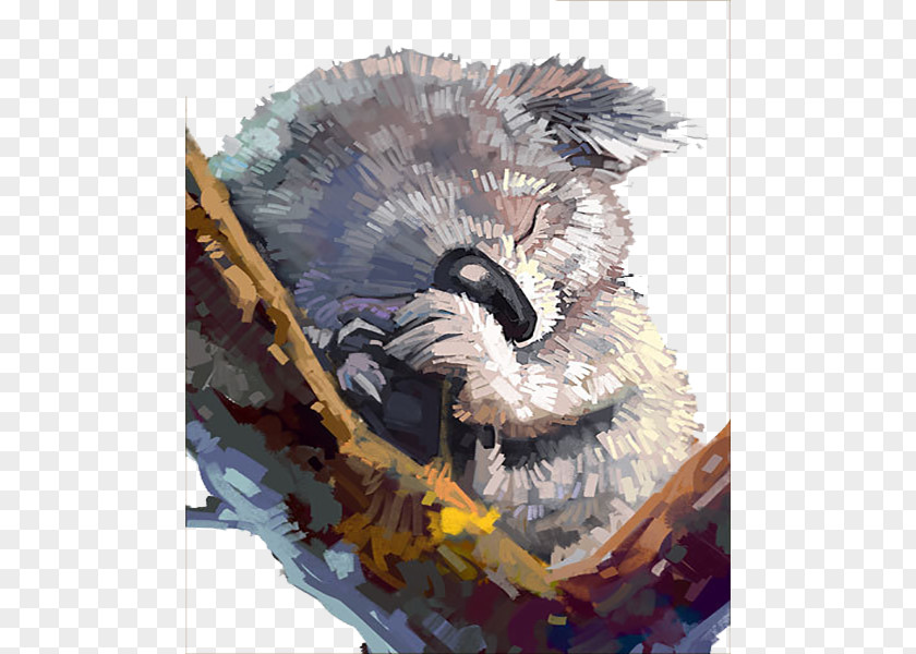Watercolor Lazy Koala Australia Painting Drawing PNG