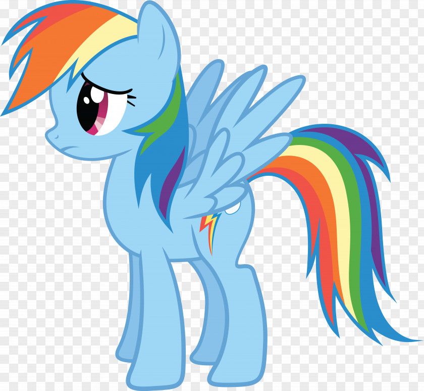 Rainbow Dash Pinkie Pie Pony Applejack Rarity PNG