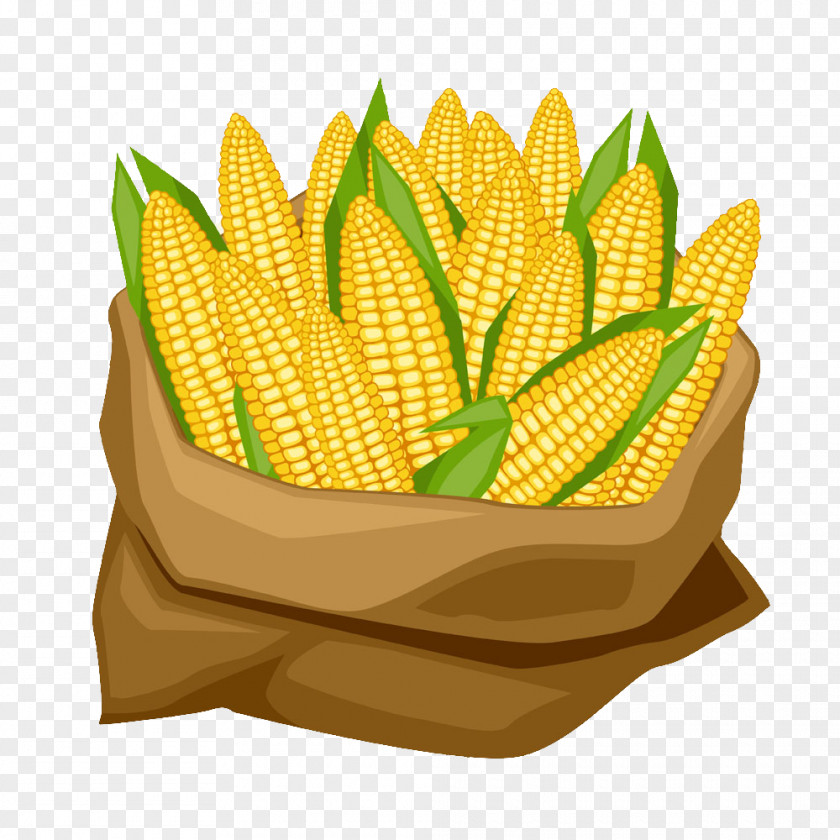 Sacks Of Corn On The Cob Maize Corncob Clip Art PNG