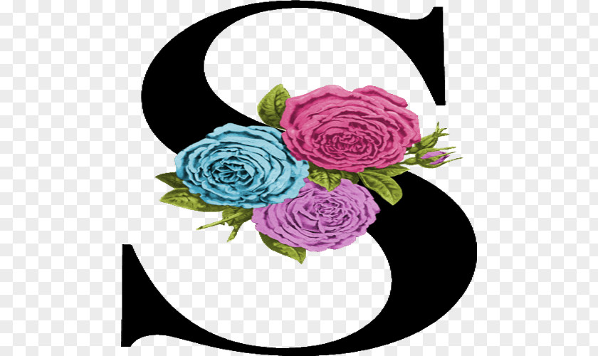 Design Garden Roses Floral Cut Flowers Centifolia PNG