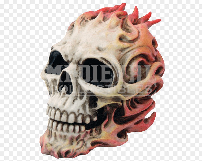 Flame Skull Bone Skeleton Jaw PNG