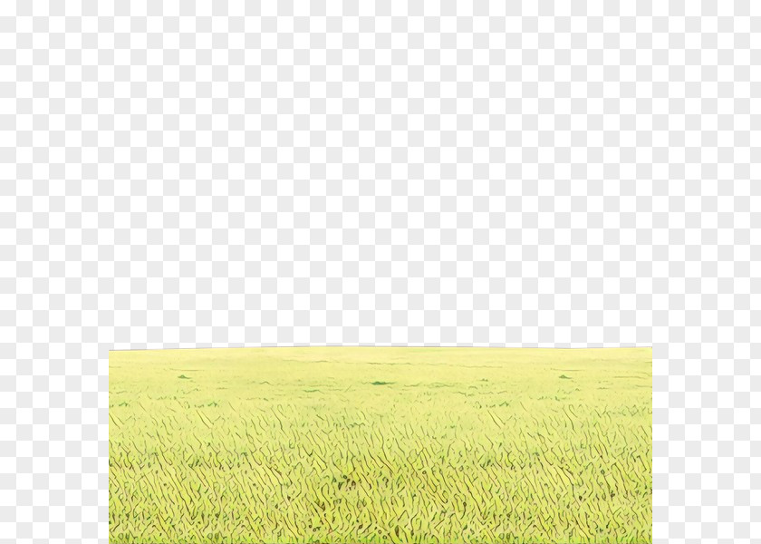 Grassland Field Plain Green Prairie PNG