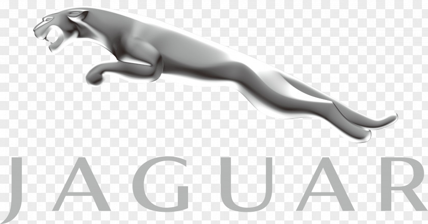Jaguar Cars XJ S-Type PNG