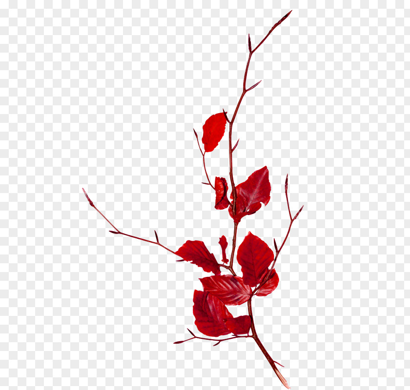 Red Leaf Pattern Branch Follaje Clip Art PNG