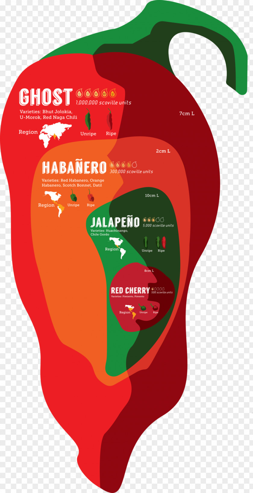 Squarespace Infographic Chili Pepper Scoville Unit Bhut Jolokia Jalapeño PNG