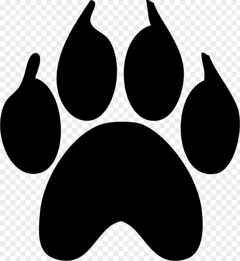 Cat Paw Animal Track PNG