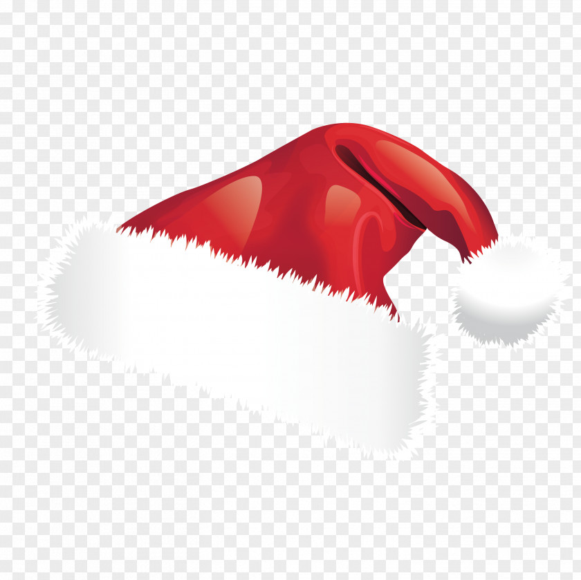 Fashion Hats Christmas Ornament Santa Claus PNG