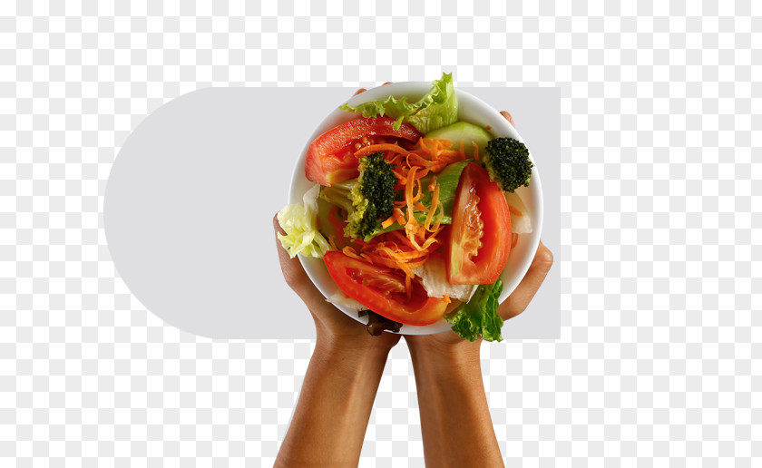 Health Dieting Food Nutrition Hand PNG