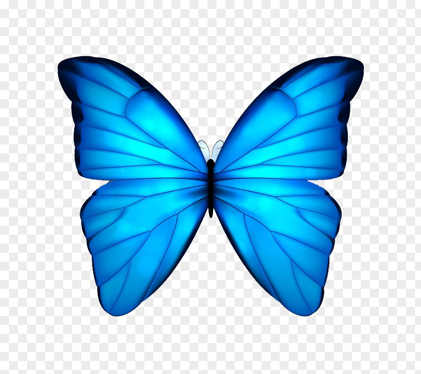 Blue Butterfly Watercolor Painted Beautiful Dream Clip Art PNG