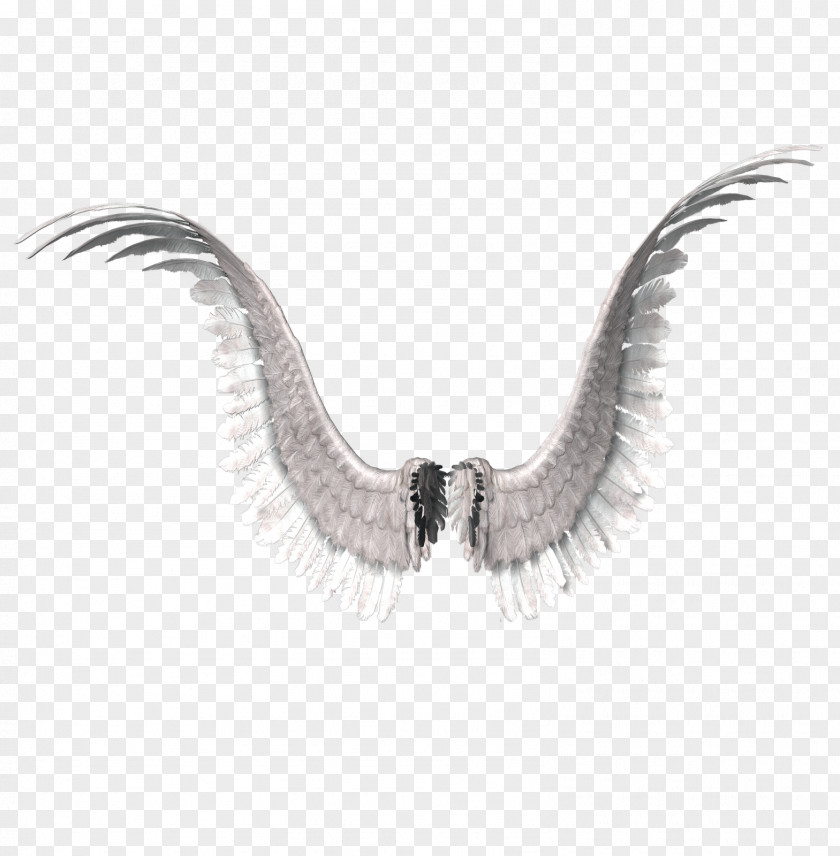 Wings PhotoScape Clip Art PNG