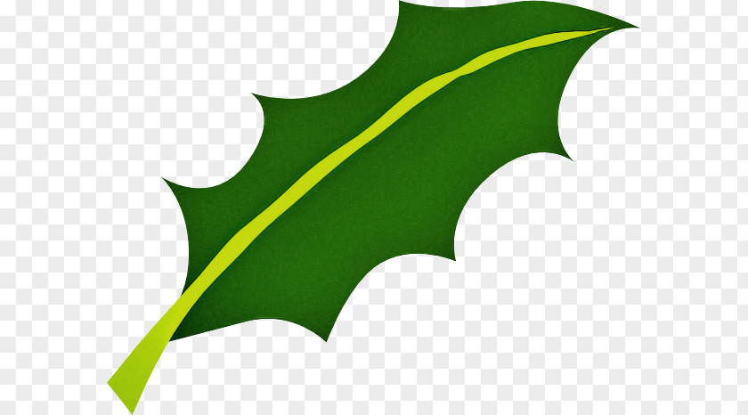 Holly Logo PNG