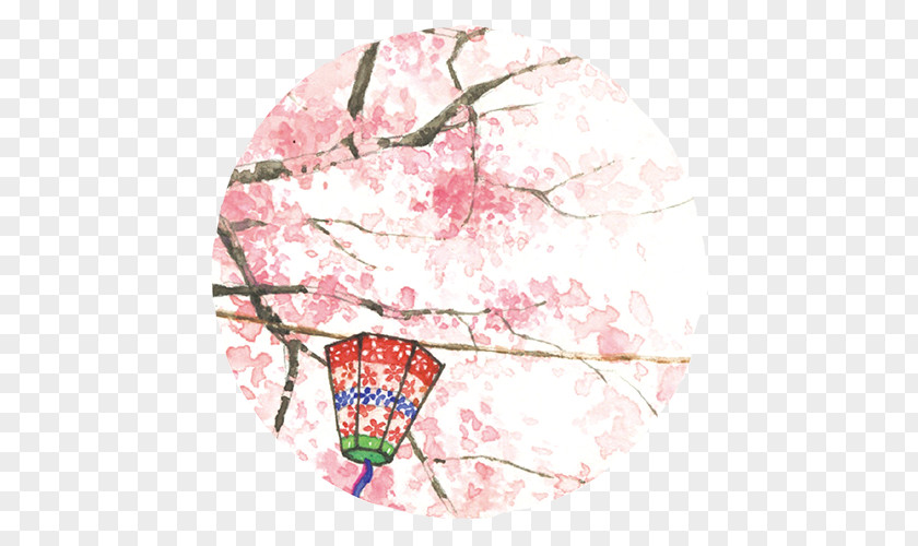 Pink Cherry Blossoms National Blossom Festival Cerasus PNG
