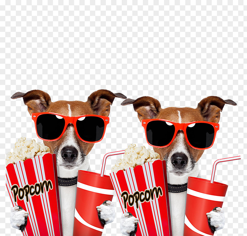 Take Two Dog Popcorn Film Outdoor Cinema Clip Art PNG